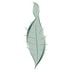 Leaf People