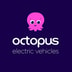 Octopus Electric Vehicles