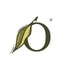 Olivella