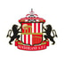 SAFC Store