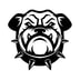 Spike Dog Collars