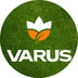 Varus