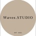 Waves Studio