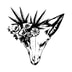 White Fox Medicinals