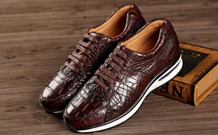 Image: alligatorwarehouse.com