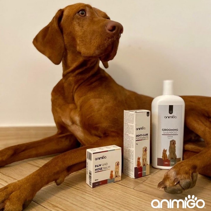 Why Your Animigo Discount Code May Not Work