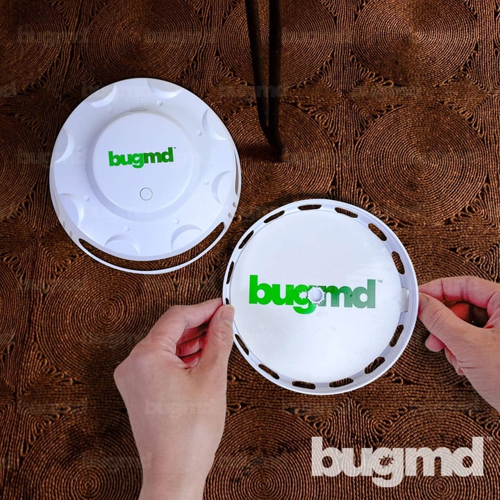 Seasonal Sale Trends at BugMD for July