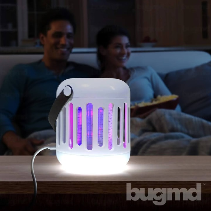 Why BugMD Promo Codes May Not Work at Checkout