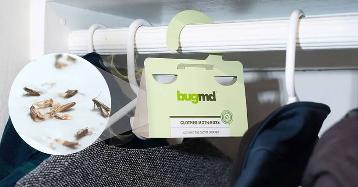 Other Opinions on BugMD