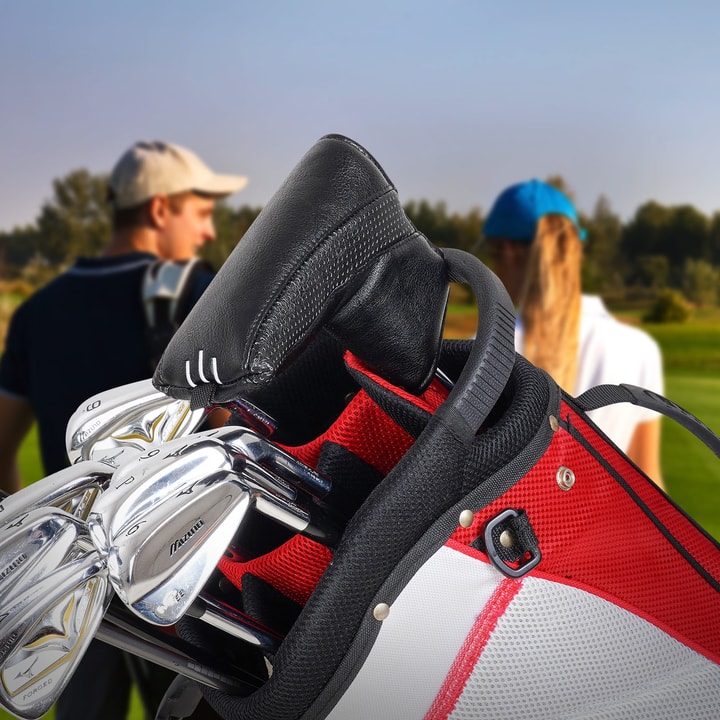 Other Opinions on Craftsman Golf