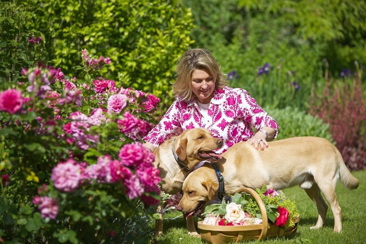 Best Savings Tip for Harkness Roses in July