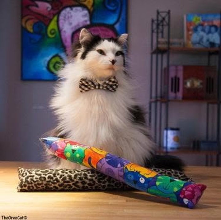 Best Savings Tip for Kitty Kick Stix in July