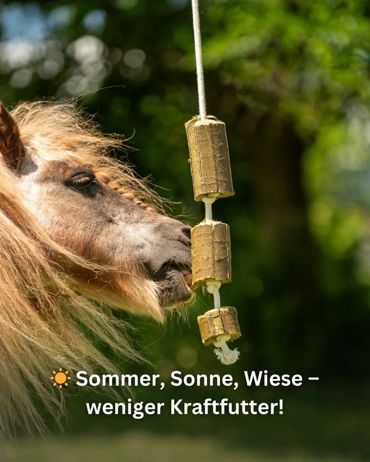 Kundenfeedback f&uuml;r LAX Tierfutter