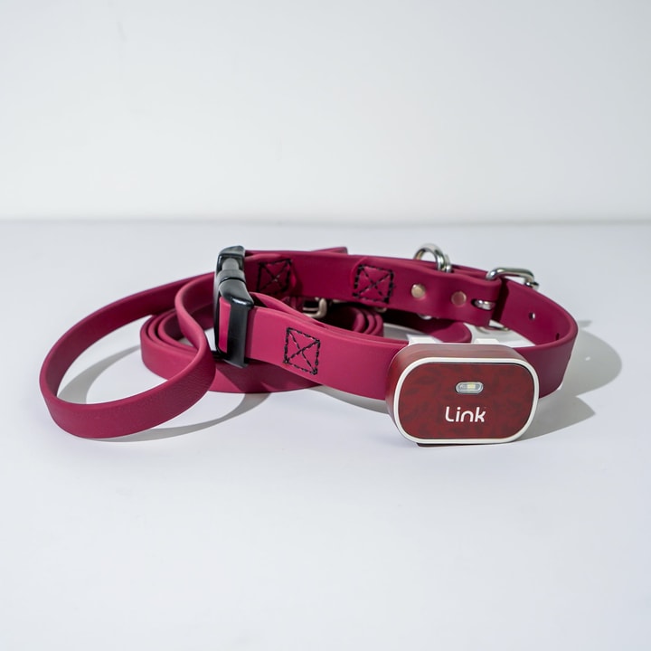 Customer Feedback for Link My Pet