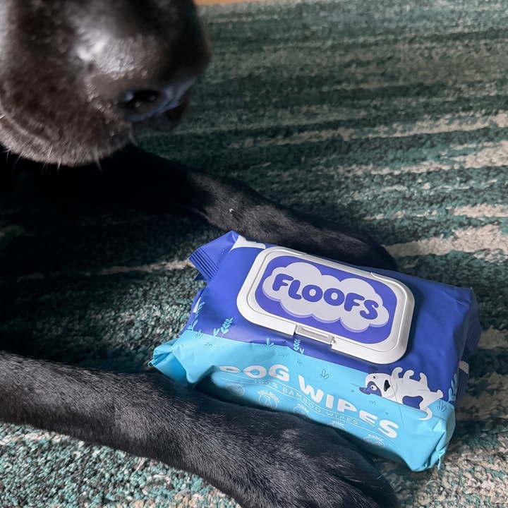 Why Your Tuff Pets Promo Code May Not Work