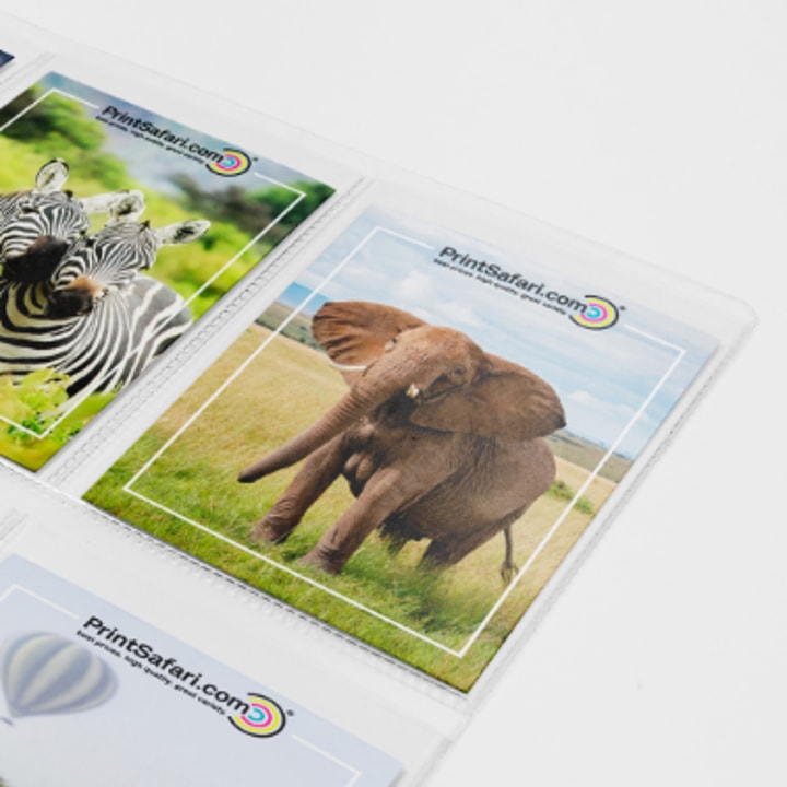 Seasonal Discounts Worth Checking at PrintSafari in July