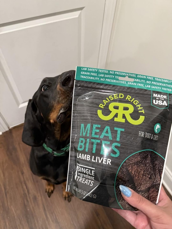 Other Opinions on Raised Right Dog Food