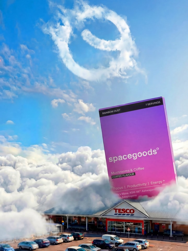Is Spacegoods Worth It?