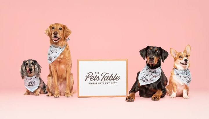 Customer Feedback for The Pets Table