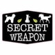 Secret Weapon Coupon Codes
