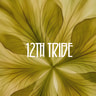 12th Tribe