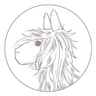 Alicia Adams Alpaca