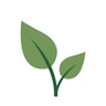 Allnatura