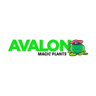 Avalon Magic Plants