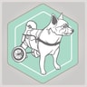 Best Friend Mobility