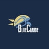 Blue Caribe Tours