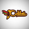 Colibri Festas