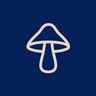 DIRTEA