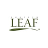 Eastern Leaf