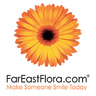 FarEastFlora