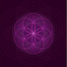 Free Soul Holistic