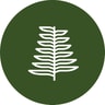 Jackfir