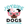Joyride Harness