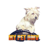 MyPetDMV