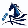 One Stop Racing