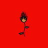 Roses del fuego