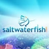 Saltwater Fish