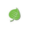 Silver Lining Herbs