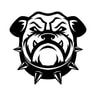 Spike Dog Collars
