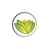 The Ayurveda Experience