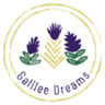 Galilee Dreams promo codes