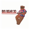 BigBear-3D promo codes
