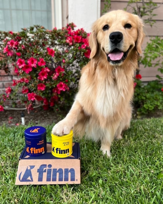 Finn Dog Supplements Review 2024 → NaturalBased Dog Supplements