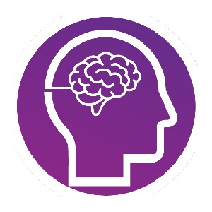 Study Mind
