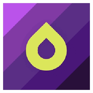 Drops Language App