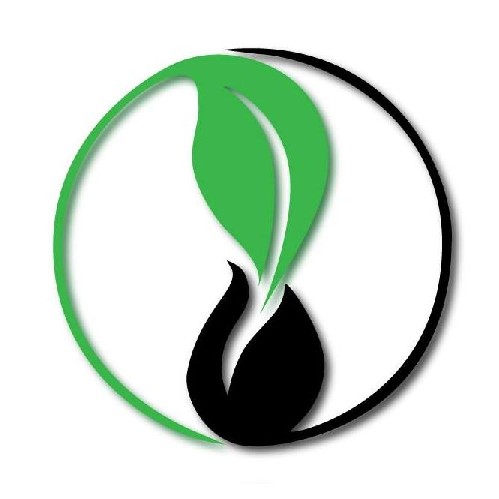 Evergreen Wrapping